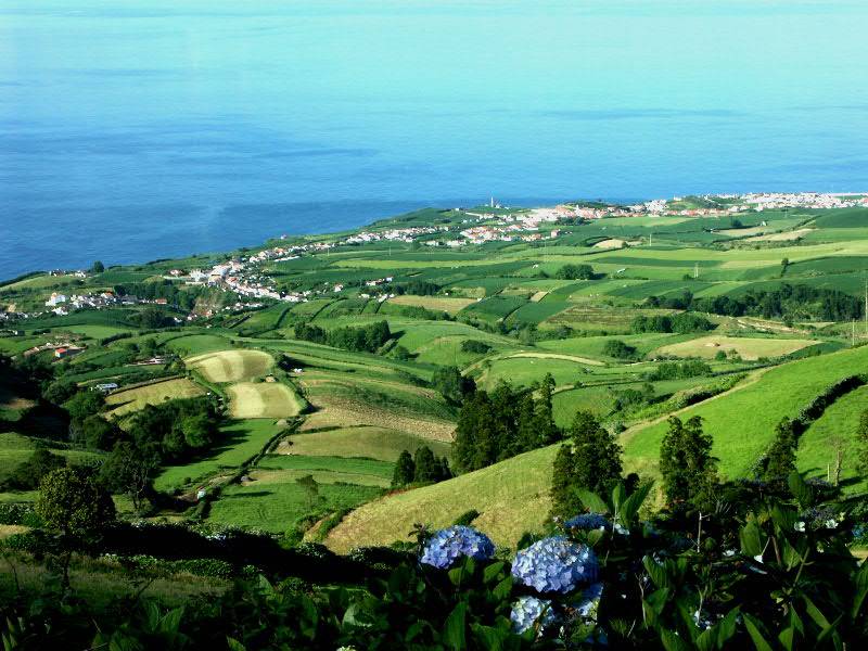 ponta garca001.JPG