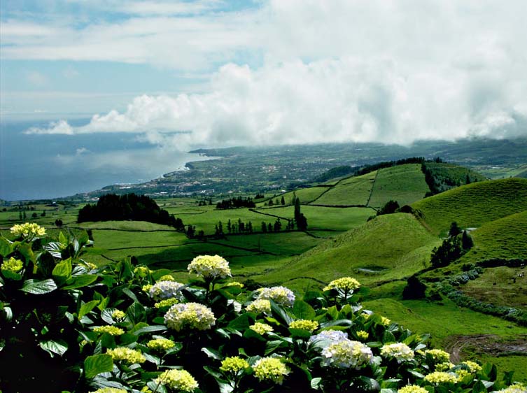 Sao-Miguel002.jpg