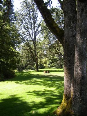 u33/tikkiman/medium/21462936.hendrickspark.jpg