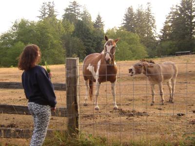 Kathy laughing at mad donkey