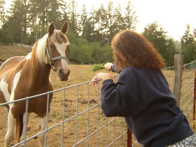 Kathy offers some weeds to the horse
