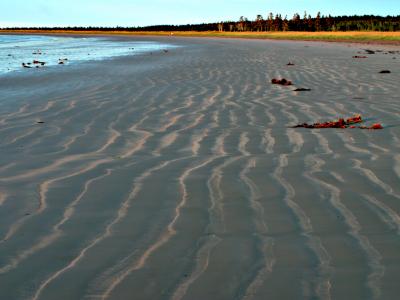 Low tide at Point Michaud