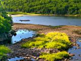 Neils Harbor
