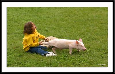 The Pig Scramble at the Deerfield Fair, September, 2003. This cute little girl was eventually able to sack her pig.