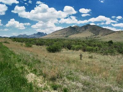 Davis Mountains of West Texas