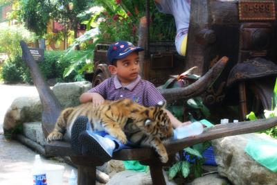 Carlton with a Tiger Cub