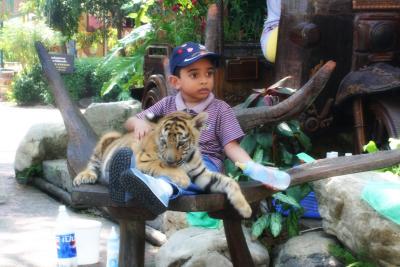 Carlton with a Tiger Cub