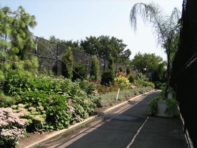 Photo by Anne L. - Garden at Tennis Courts on Randalls Island