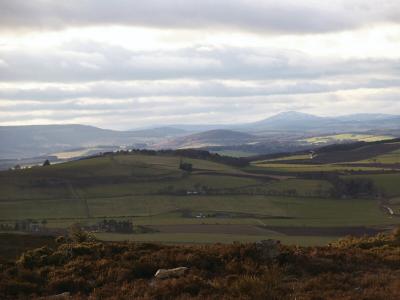 Distant view of Morven from Brimmond hill