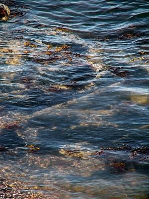 P9231881-e-600.jpg