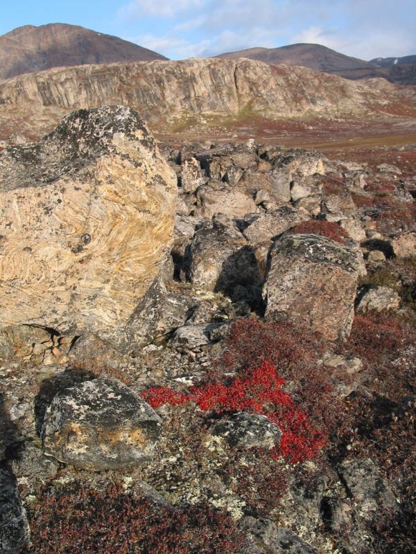 Rock Cluster with Birch