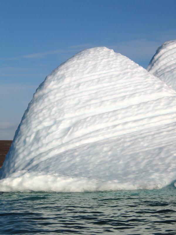 We thought this iceberg looked like a Molar