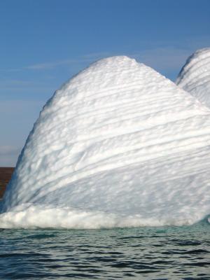 We thought this iceberg looked like a Molar
