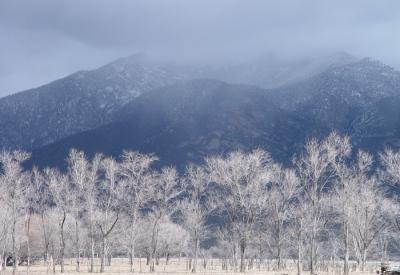 Taos