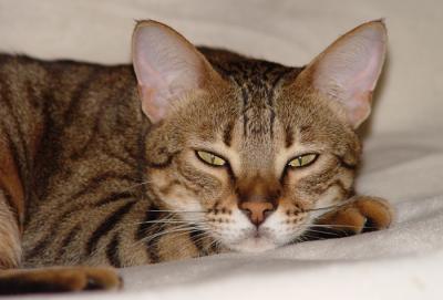 Ethelsquint resized.jpg