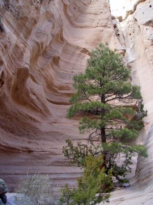 tent rocks