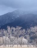Taos