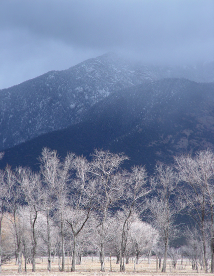 Taos