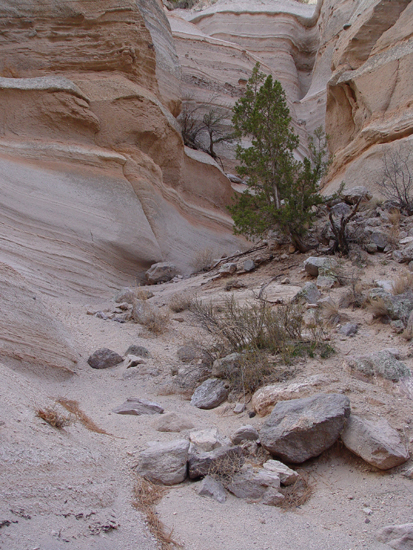 tent rocks