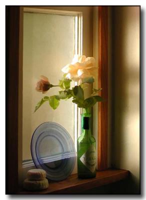 Evening Light