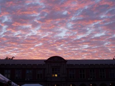 WashU's 150th Birthday