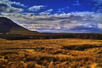 Ireland 2004