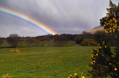 Ireland 2004