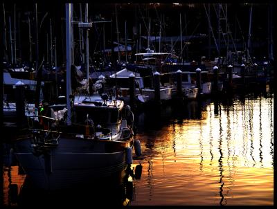 20041107 / Fisherman's Wharf