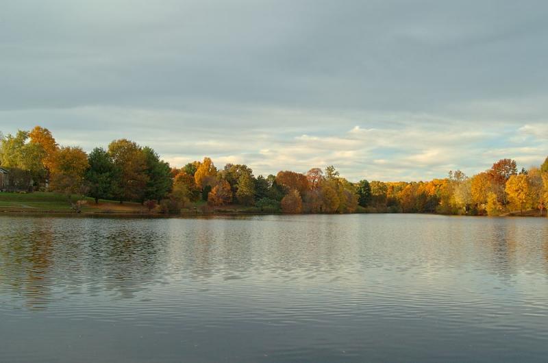 DSC_7524 copy.jpg
