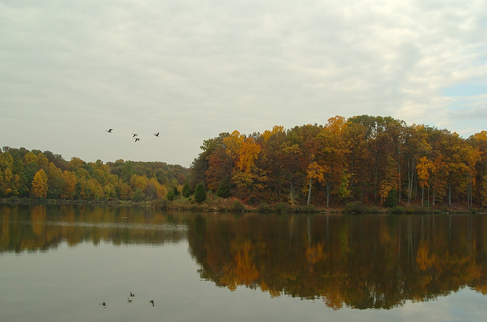 DSC_7307 copy.jpg
