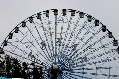 The Ferris Wheel - Texas State Fair