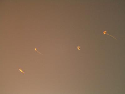 Kites in the sky