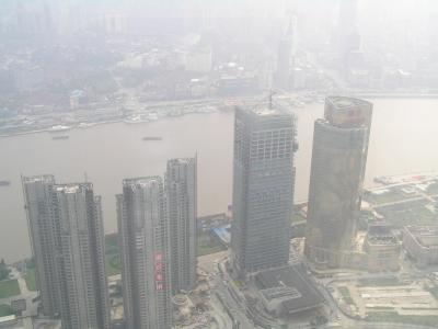 P7100036.JPG