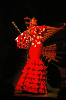 Flamenco13.jpg