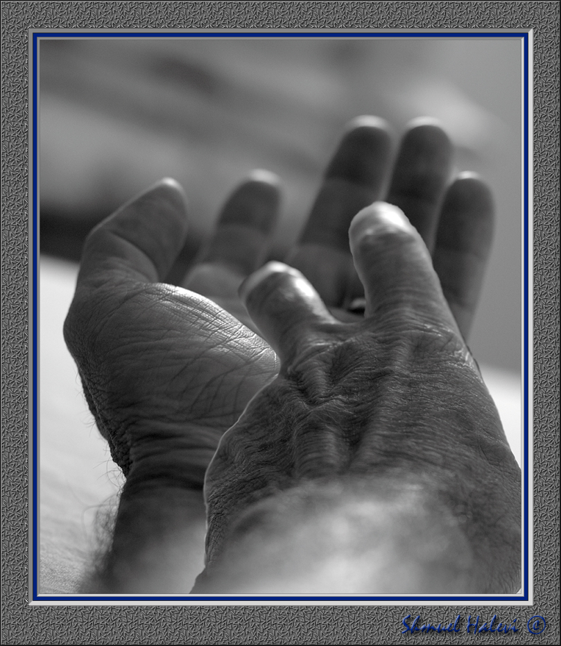 My left hand