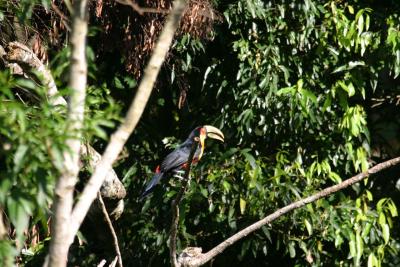 u34/adwalsh/medium/37603550.IMG_7341.jpg