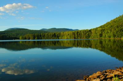 Cooper lake Shoreline