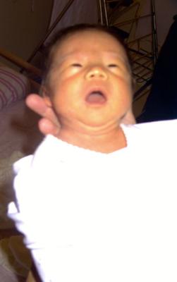 RIMG0083.jpg