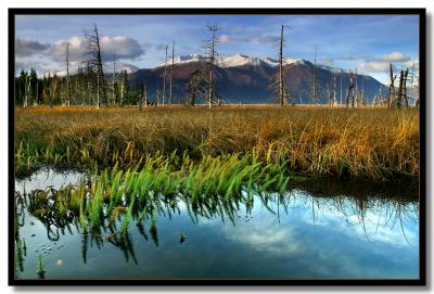 SmallPond_8669SmlDrp.jpg