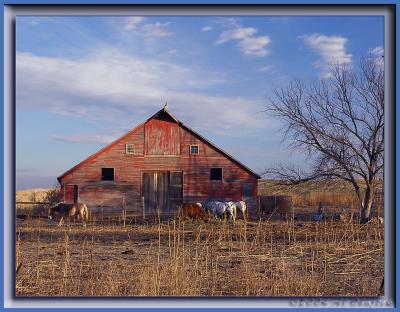 barn.jpg