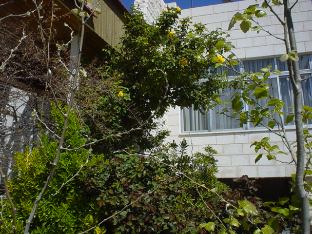 Our House in Spring 2005 024.jpg