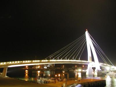 14411301.jpg