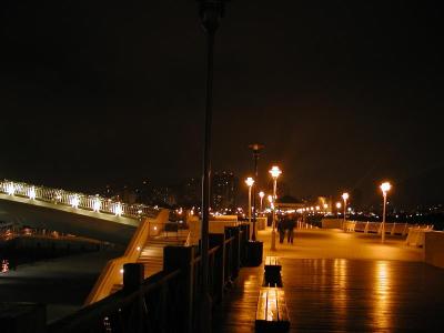 14411302.jpg