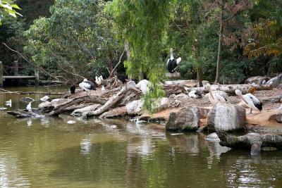 Water hole
