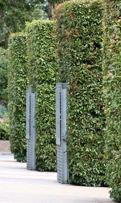 Zoo Hedges