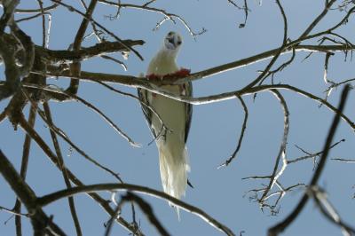 Alan and Helene's Belize Trip