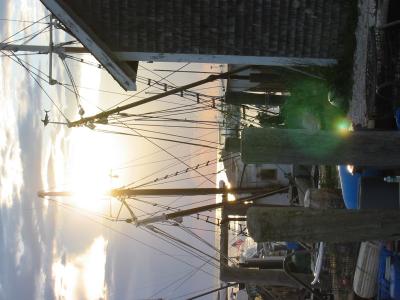 IMG_9481.JPG
