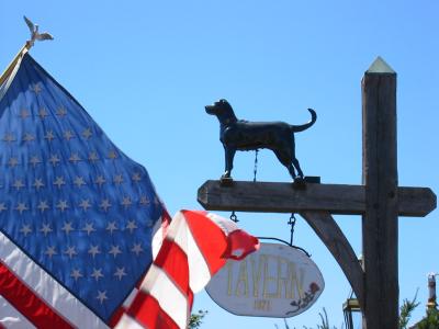 IMG_9493.JPG