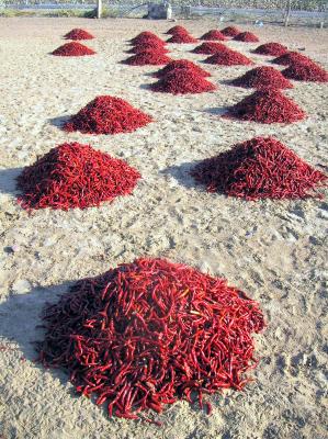 Peppers