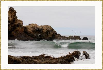 u34/antoinevu/medium/33137195.IMG_2228bframe800.jpg